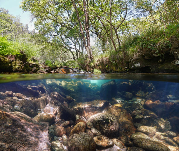 istock Wild stream landscape over and under water surface with rocky riverbed 1473441711