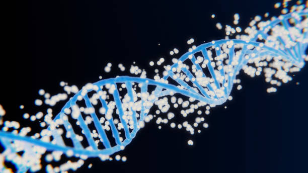 istock Futuristic Rotating White DNA Strand with Genetic Codes and abstract geometry. Seamless looping animation of rotating DNA strands. 1473441807
