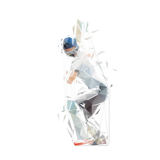Cricket player, isolated low polygonal vector illustration, cricketer, striking batter, geometric drawing from triangles vector art illustration