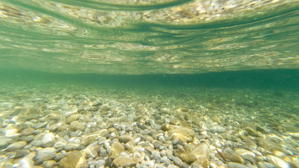 istock Seabed of Cala d'Ambra beach in San Teodoro 1473445301