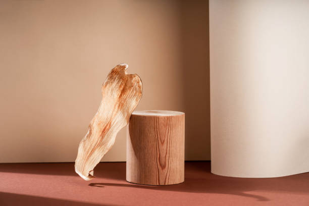 istock Composition empty podium material wood stone dry flowers. Product presentation. Background is beige. Beautiful background from natural materials. 1473452062