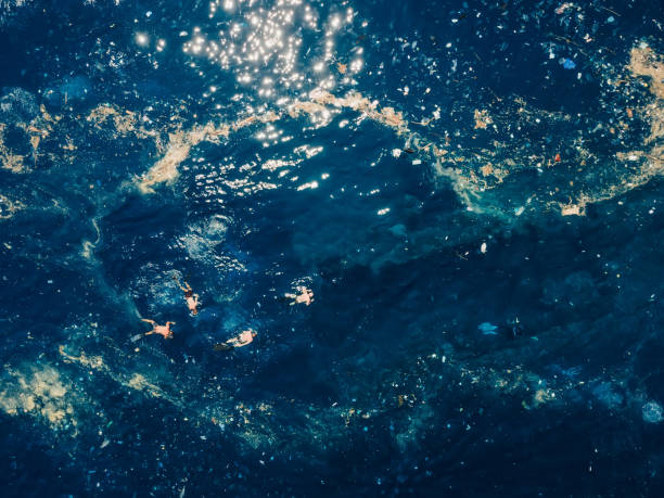 People swimming in plastic pollution Liberty wreck ship in Tulamben, Bali.
