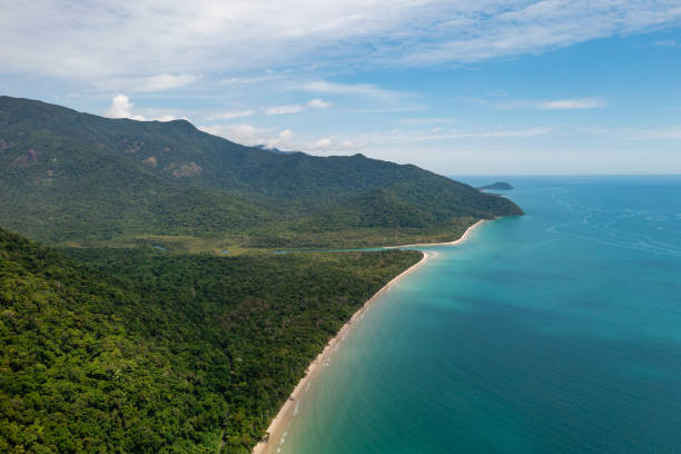 istock Rainforest meets the reef in the tropical Daintree National Park 1473456286