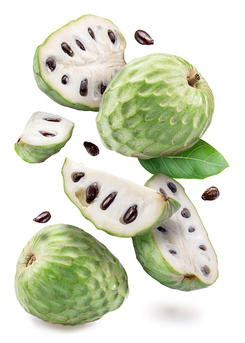 Custard apples or cherimoya fruits and slices of fruit floating in the air. File contains clipping paths.