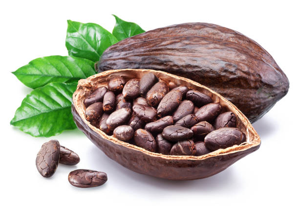 fave di cacao essiccate nella metà del baccello di cacao isolate su sfondo bianco. - siliqua foto e immagini stock