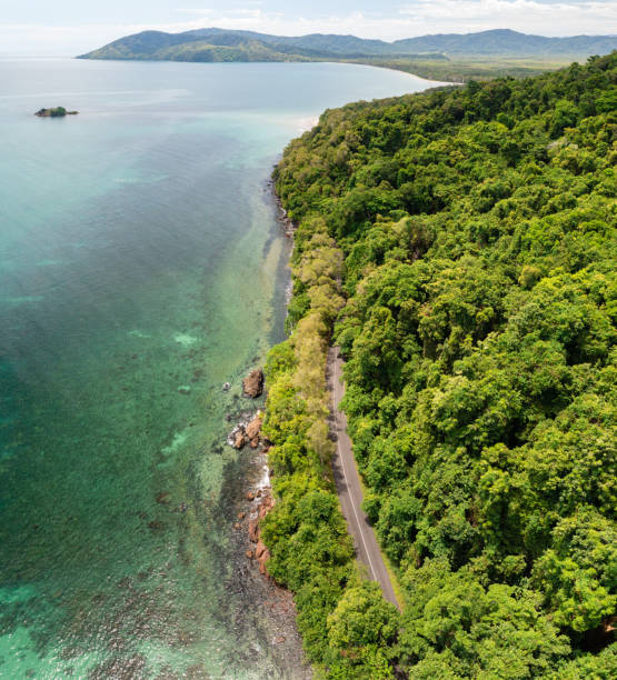 istock Rainforest meets the reef in the tropical Daintree National Park 1473456375