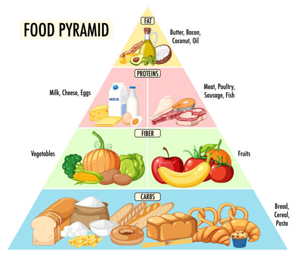 Pirâmide de grupos de nutrição alimentar - ilustração de arte em vetor