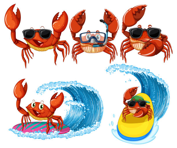 Personagens engraçados dos desenhos animados do caranguejo no tema de verão - ilustração de arte em vetor