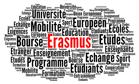 Erasmus word cloud concept in French language