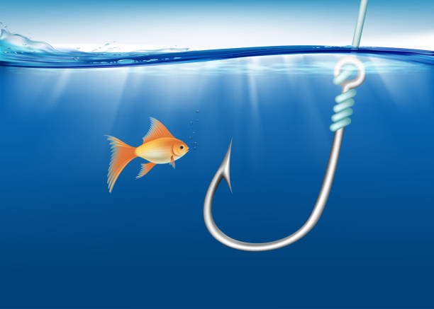 istock Fish looks at a fishing hook under water 1473462121