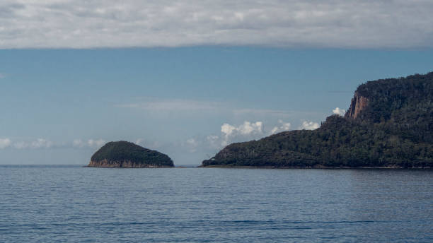 istock Penguin Island, Tasmania 1473469072