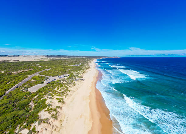istock Gunnamatta Ocean Beach in Australia 1473473770