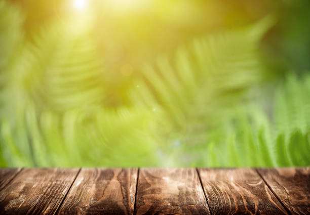 istock Empty wooden table on a sunny background with ferns - product placement 1473478997