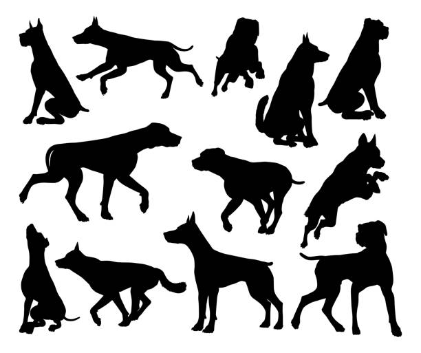 Dog Silhouettes Animal Set A set of detailed animal silhouettes of a pet dog pitbull graphic stock illustrations