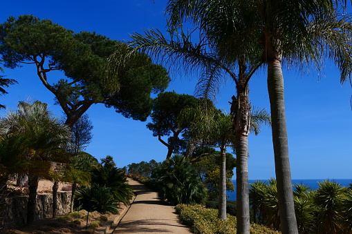 Botanical garden of Cap Roig, surroundings of Calella de Palafrugell, Costa Brava, Catalonia