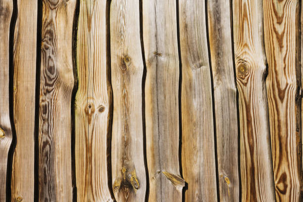 istock Wood background. Board texture. Grunge wood pattern. Brown wooden wall background. Rustic tree desk pattern. Countryside architecture wall. 1473487136