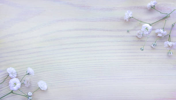 istock light wooden background with white flowers 1473488544