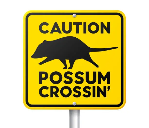 Vector illustration of Opossum Crossing Animal Warning Sign