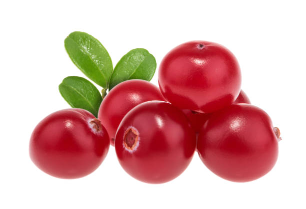 Cranberries isolated on white background with clipping path Cranberries isolated on white background with clipping path bearberry stock pictures, royalty-free photos & images