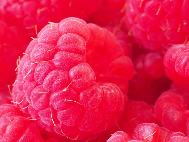 istock Close-up of raspberries as background 1473493341