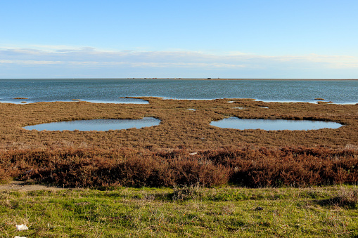 Vista del paisaje marino desde la orilla del río en un río Delta photo