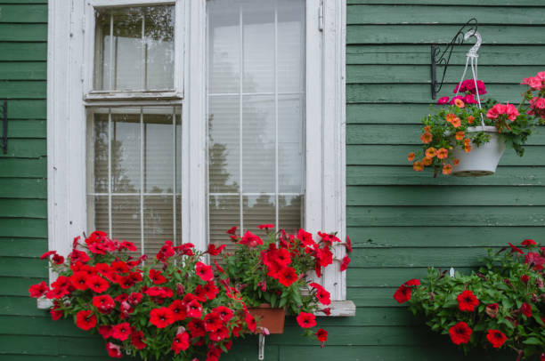 istock the window is decorated with flowers in a pot 1473499048