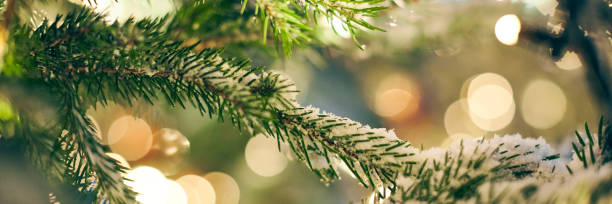 istock Christmas tree covered snow with yellow garlands lights and bokeh copy space with sparkled bokeh 1473508838