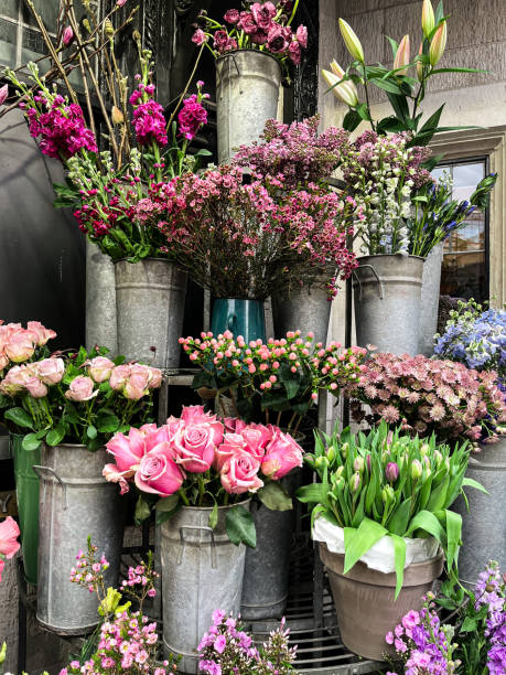 Flower stalls in London