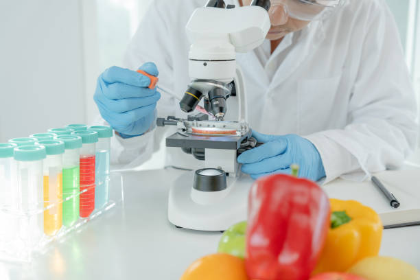istock Scientist check chemical fruit residues in laboratory. Control experts inspect the concentration of chemical residues. hazards, standard, find prohibited substances, contaminate, Microbiologist 1473510944