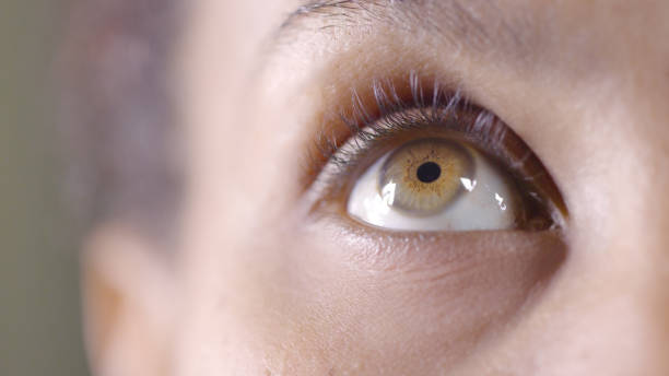 여성, 시력 및 시력 및 시력을위한 매크로 눈 세부 사항, 검안 및 시력을위한 콘택트 렌즈. 눈, 의료 및 건강한 눈동자 및 홍채에 초점을 맞추고 속눈썹과 콘택트로 올려다보고 확대/축소 - contact lens human eye human face women 뉴스 사진 이미지