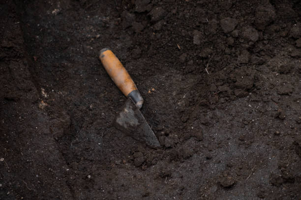 istock trowel on the ground in an archaeological excavation 1473513292