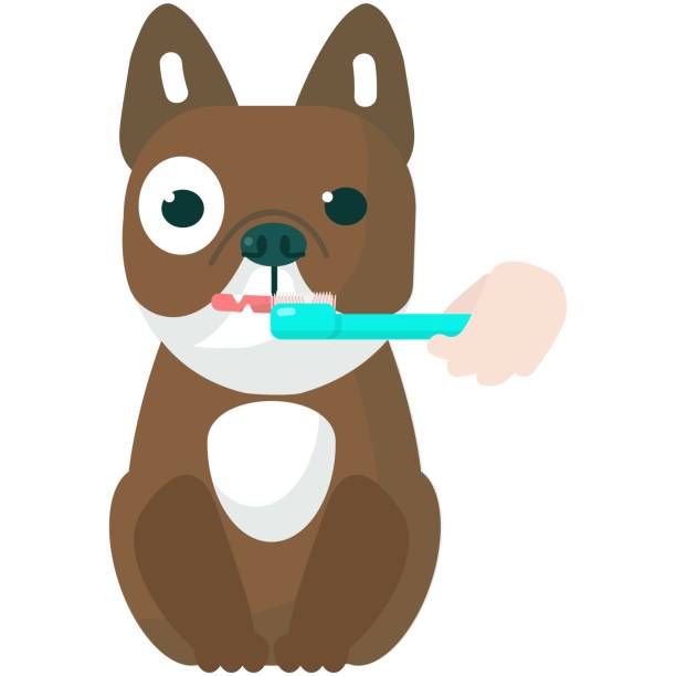istock Brushing cartoon dog teeth dental care vector icon 1473515792