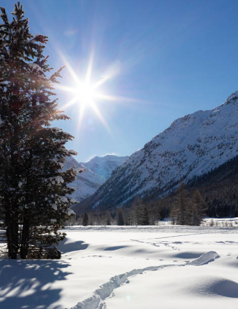 istock Winter Wonderland 1473516109