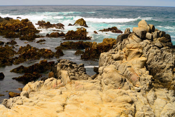 istock Surf Breaking Asilomar State Marine Reserve California 1473516506
