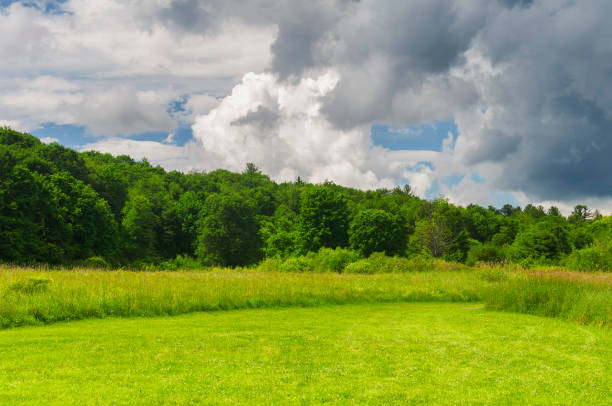 istock sunnybrook state park summer landscape 1473518731