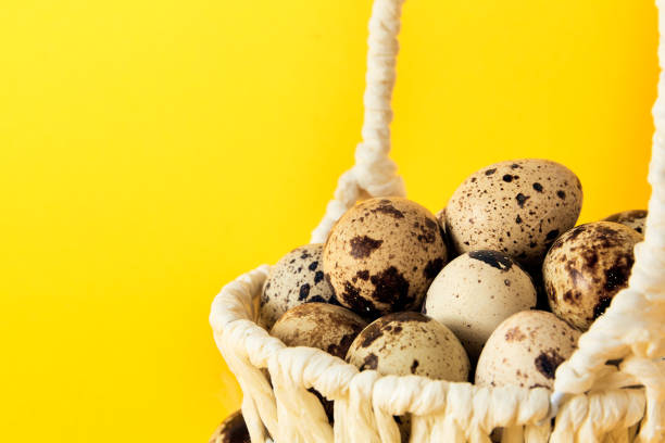 Yellow background with white straw basket full of quail eggs. Copy space. Empty text place. Mockup design of Easter holiday. Handmade decoration. Healthy food product. Summer mood color. Side view.