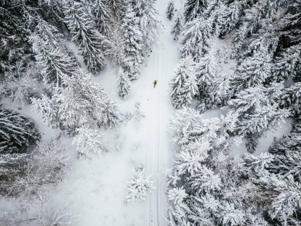 istock Going for a hike in snowy scandinavian forest 1473520555