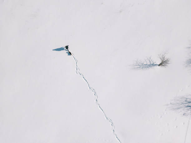istock Pet owner and her dog having fun in fresh snow 1473520970