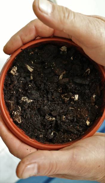 istock pot with soil in human hands top angle view 1473522544