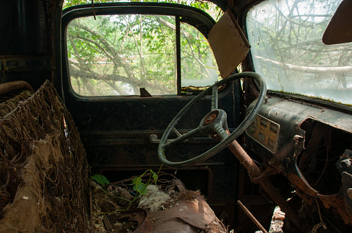 An abandoned rusty truck with broken windows in the woods