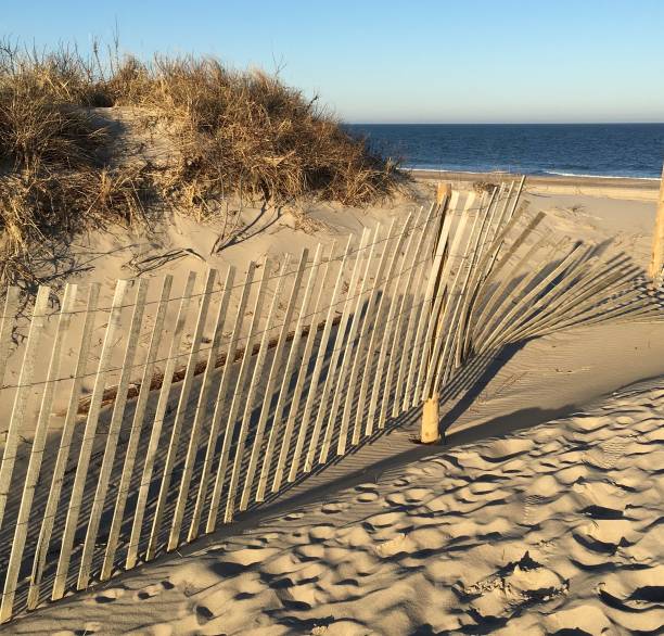 istock Delaware Seashore State Park tranquil beach setting with wooden fence along a footpath. 1473523381
