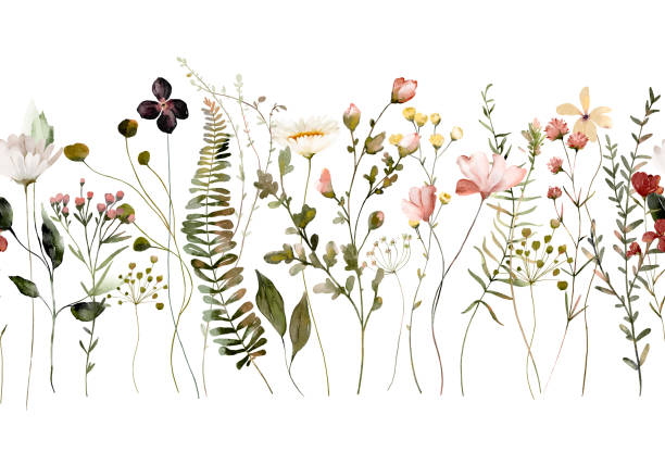 akwarela zaproszenia świętojańskie bezszwowe obramowanie z ręcznie malowanymi delikatnymi liśćmi, różowymi kwiatami. romantyczne kwiatowe ramki idealne na kartki z życzeniami ślubnymi, zaproszenia. - wildflower stock illustrations