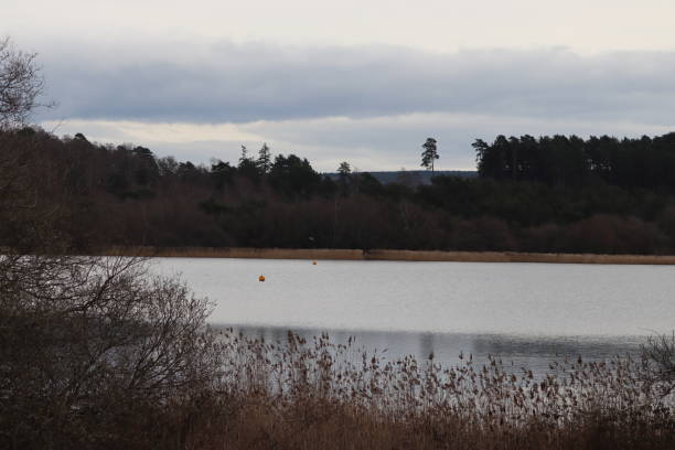 istock Frensham ponds 1473524597