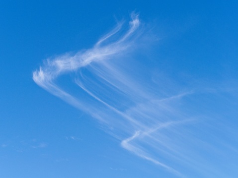 Cirrus clouds precipitate downward through the atmosphere in otherwise blue skies. Sometimes referred to as 'mares tails' cirrus clouds shown to be falling out through the upper atmosphere. Abstract background or cloudscape with copy space.