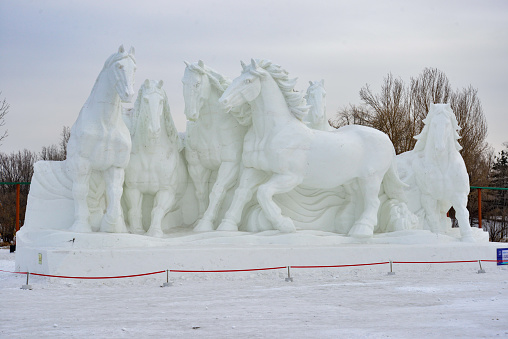 Harbin, China - 19 January 2023: Large-scale snow sculpture of horses displayed at the Harbin International Ice and Snow Sculpture Festival in January 2023.