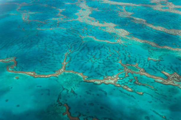istock Great Barrier Reef, Queensland, Australia 1473530110