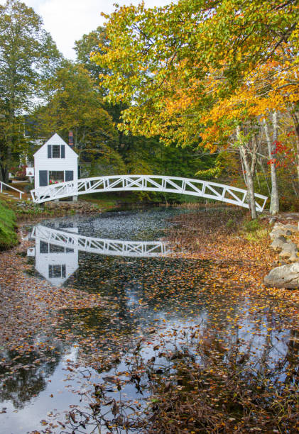istock Footbridge in the Autumn 1473534982