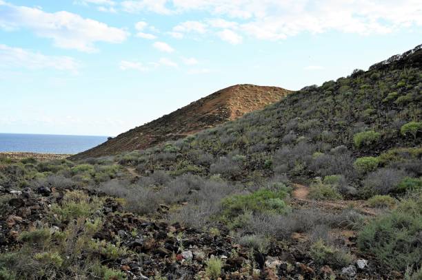 istock Amarilla mountain, Costa del Silencio, Tenerife 1473536595