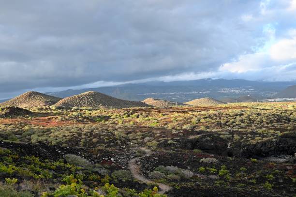 istock Amarilla mountain, Costa del Silencio, Tenerife 1473536722