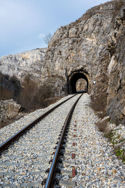 istock Old railroad tunnel  on the railway. 1473536765